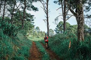 BIB: 
                            <button type="button" onclick="openModal(25653204)" class="btn btn-primary btn-sm float-right btn-popup" data-toggle="modal" data-target=".modal-high-quality">
                        <i class="fas fa-shopping-cart"></i> Add to Cart
                    </button>
                                            <button type="button" onclick="isThisMe(25653204, true)" class="btn btn-success btn-sm float-right btn-popup btn-isme hidden" data-toggle="tooltip" data-placement="bottom" title="นี่คือรูปของคุณใช่ไหม คลิกที่นี่เพื่อเอาเข้าอัลบั้ม">
                        <i class="fas fa-plus"></i> Add to album
                    </button>
                    <button type="button" onclick="isThisMe(25653204, false)" class="btn btn-warning btn-sm float-right btn-popup btn-isnotme hidden">
                        <i class="fas fa-ban"></i> Remove from album
                    </button>